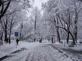 photo.php?category_id=161&file_id=2598&fileBackPage=1&filesPage=15