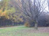 photo.php?category_id=185&file_id=3219&fileBackPage=1&filesPage=3