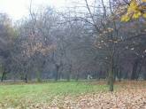 photo.php?category_id=185&file_id=3223&fileBackPage=1&filesPage=7