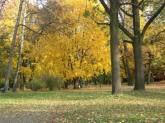 photo.php?category_id=196&file_id=3556&fileBackPage=1&filesPage=5