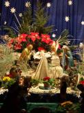 photo.php?category_id=214&file_id=4063&fileBackPage=1&filesPage=36