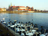 photo.php?category_id=243&file_id=4792&fileBackPage=1&filesPage=20