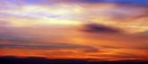 photo.php?category_id=256&file_id=5099&fileBackPage=1&filesPage=12