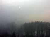photo.php?category_id=263&file_id=5364&fileBackPage=1&filesPage=1