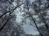 photo.php?category_id=263&file_id=5370&fileBackPage=1&filesPage=7
