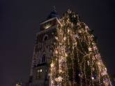 photo.php?category_id=310&file_id=6724&fileBackPage=1&filesPage=36
