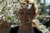 photo.php?category_id=325&file_id=7217&fileBackPage=1&filesPage=8