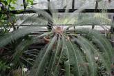 photo.php?category_id=350&file_id=7853&fileBackPage=1&filesPage=46