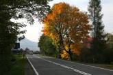 photo.php?category_id=343&file_id=7635&fileBackPage=1&filesPage=37