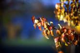 photo.php?category_id=343&file_id=7640&fileBackPage=1&filesPage=42