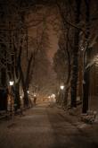 photo.php?category_id=354&file_id=7966&fileBackPage=1&filesPage=11