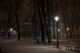 photo.php?category_id=360&file_id=8122&fileBackPage=1&filesPage=13