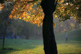 photo.php?category_id=390&file_id=8819&fileBackPage=1&filesPage=3