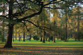 photo.php?category_id=390&file_id=8823&fileBackPage=1&filesPage=7