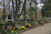 photo.php?category_id=391&file_id=8832&fileBackPage=1&filesPage=3