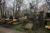 photo.php?category_id=391&file_id=8842&fileBackPage=1&filesPage=13