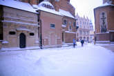 photo.php?category_id=407&file_id=9219&fileBackPage=1&filesPage=31