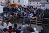 photo.php?category_id=409&file_id=9338&fileBackPage=1&filesPage=1