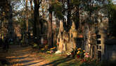 photo.php?category_id=412&file_id=9404&fileBackPage=1&filesPage=8