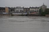photo.php?category_id=432&file_id=9956&fileBackPage=1&filesPage=38